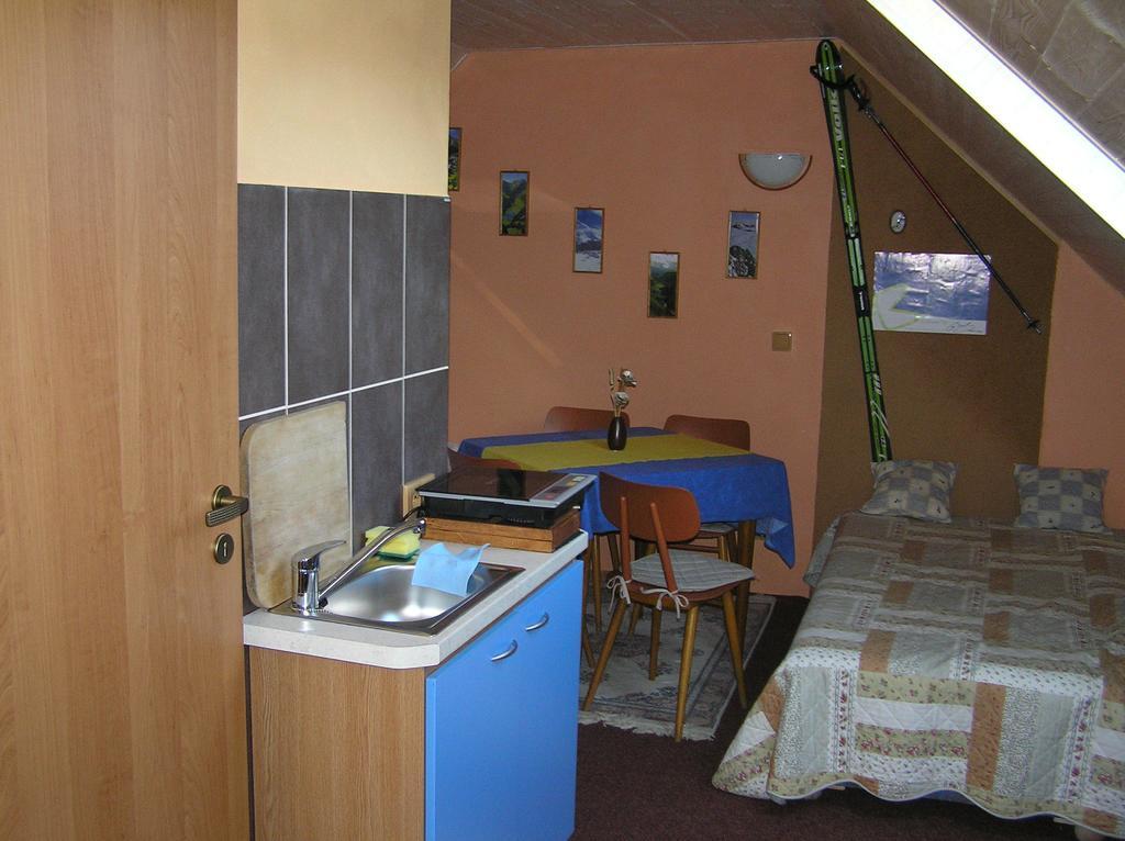 Cerveny Potok Apartman Muza חדר תמונה